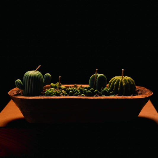 Cactus Tray Candle